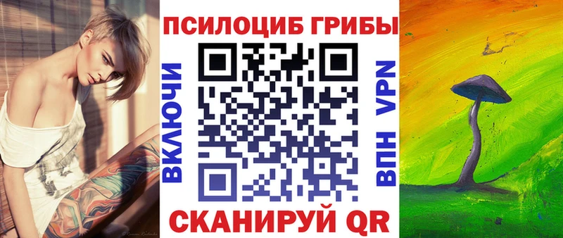 купить закладку  Тогучин  Галлюциногенные грибы Magic Shrooms 